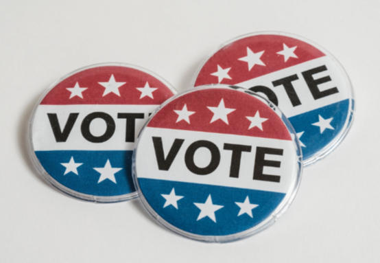 Picture of Voting Pins